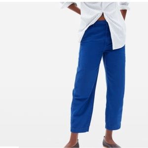 Everlane Arc Canvas Pant